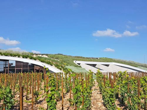 Vines in front of a pitched green roof